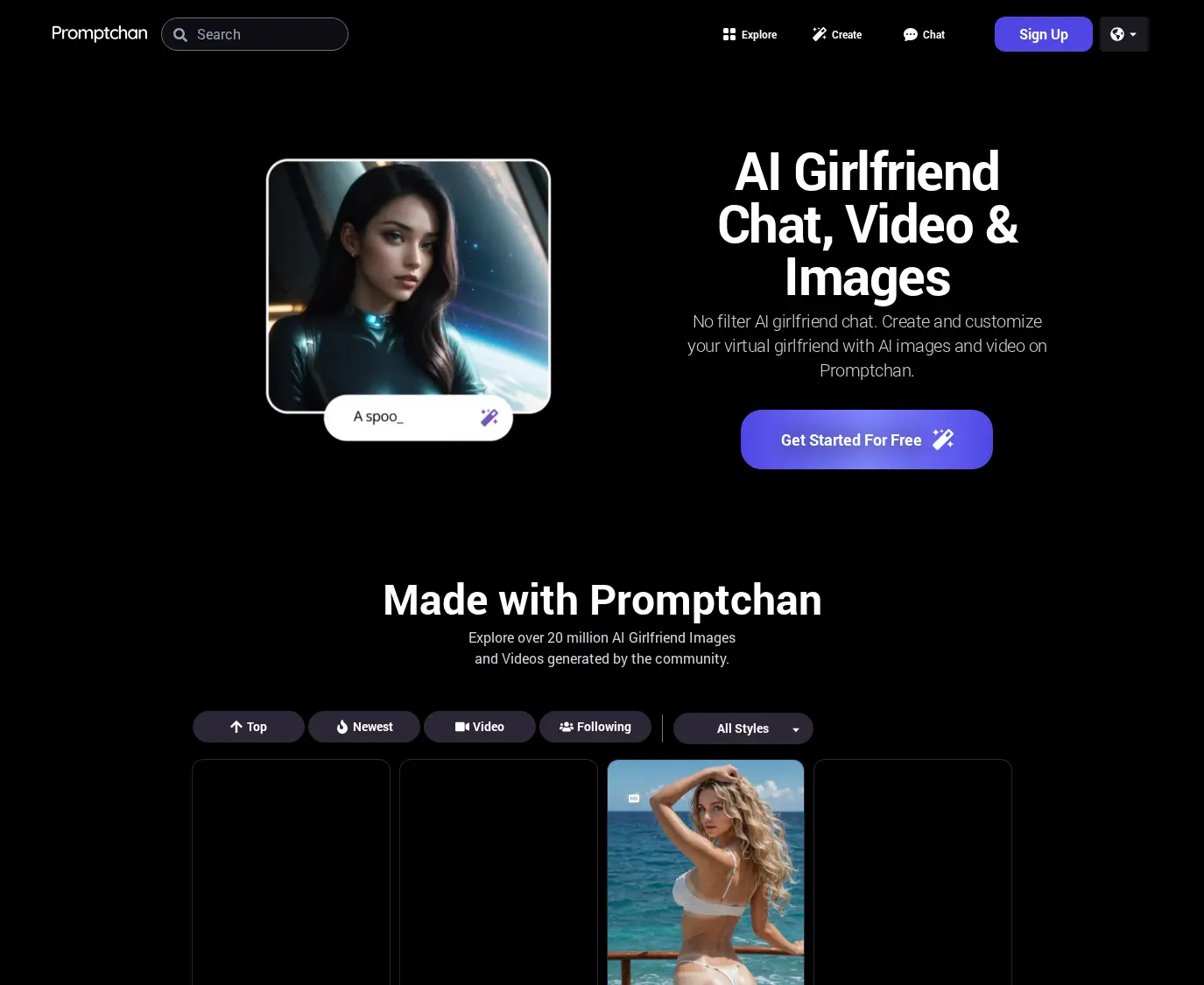 A Review Screenshot of PromptChan